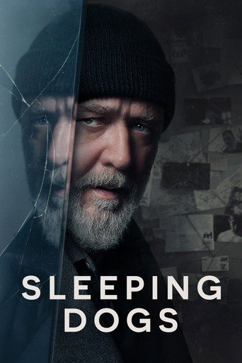 Locandina: Sleeping Dogs