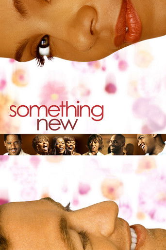 Locandina: Something New