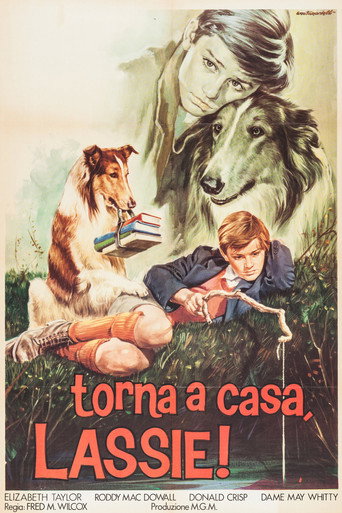 Locandina: Torna a casa Lassie!