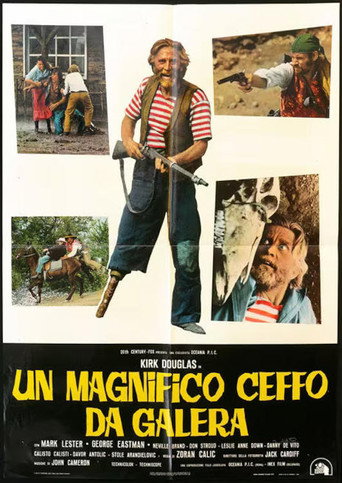 Locandina: Un magnifico ceffo da galera
