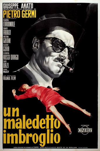 Locandina: Un maledetto imbroglio