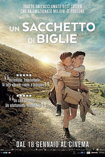 Locandina: Un sacchetto di biglie