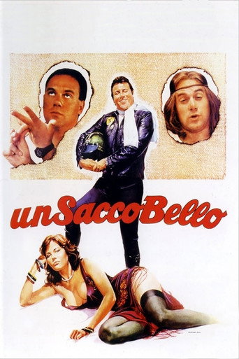 Locandina: Un sacco bello