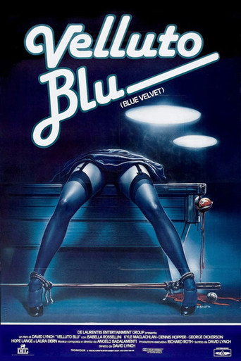 Locandina: Velluto blu